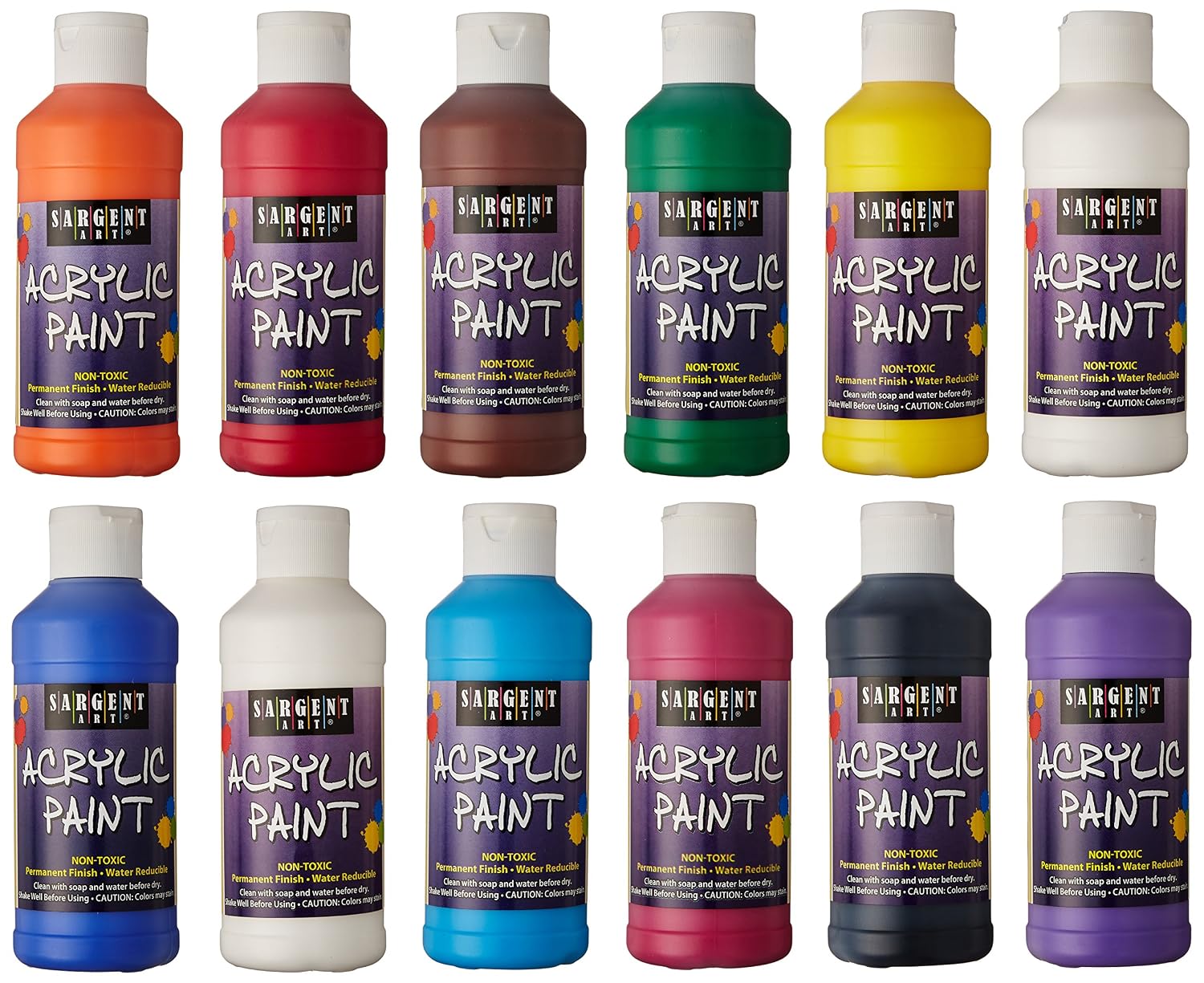 Amazon.com: Sargent Art 22-2399 8-Ounce Acrylic Paint, 12 Piece Set