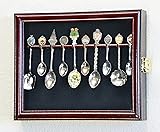 10 Spoon Display Case Cabinet Wall Mount Rack
