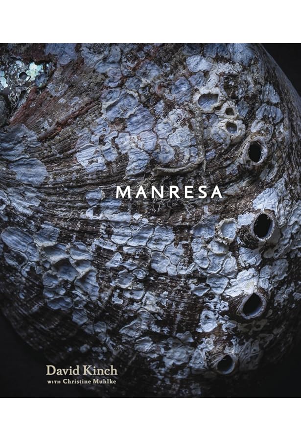 A New Napa Cuisine: [A Cookbook]: Kostow, Christopher