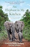 An Elephant in My Kitchen: What the Herd Taught Me