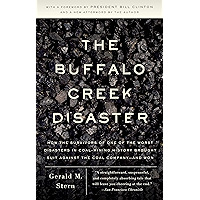The Buffalo Creek Disaster: How the survivors of one of the worst disasters in coal-mining history brought s uit against… book cover