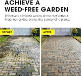 Doff Advanced Concentrated Weedkiller 10 Sachets Dilution Garden Weed Control view 6