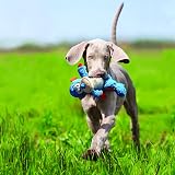KONG Cross Knots Monkey Internal Knotted Rope for Small Medium Dogs view 2