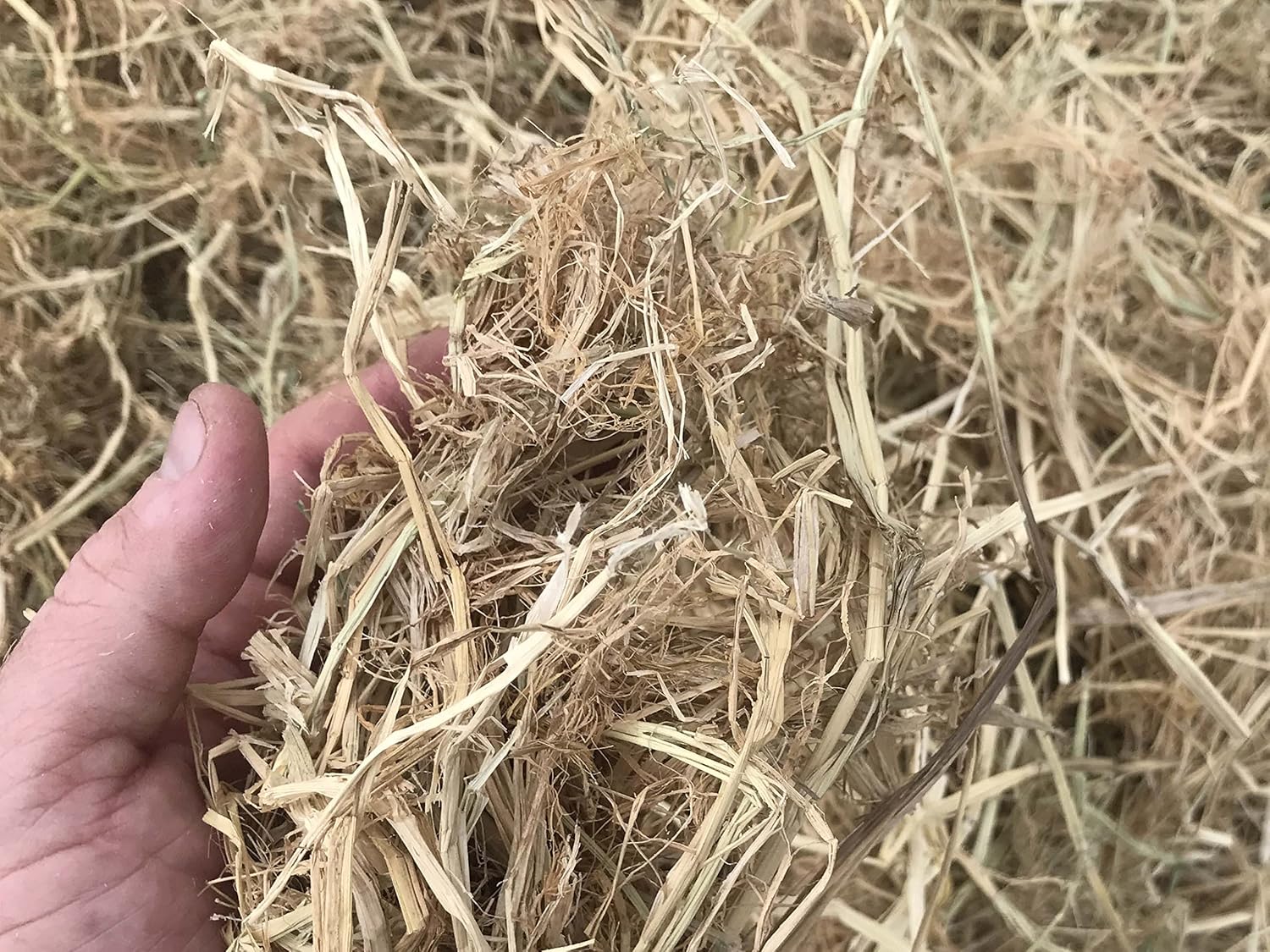 Amazon Com Mighty109 Rice Straw Mulch 30 Quarts Plus 10 Free Quarts Garden Outdoor