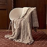 Templewet Heated Blanket Electric Throw 50" x 60" -Heated Throw Blanket with 5 Heating Levels & 3 Hours Auto Off,Machine Washable,ETL & FCC Certification(Racoon)