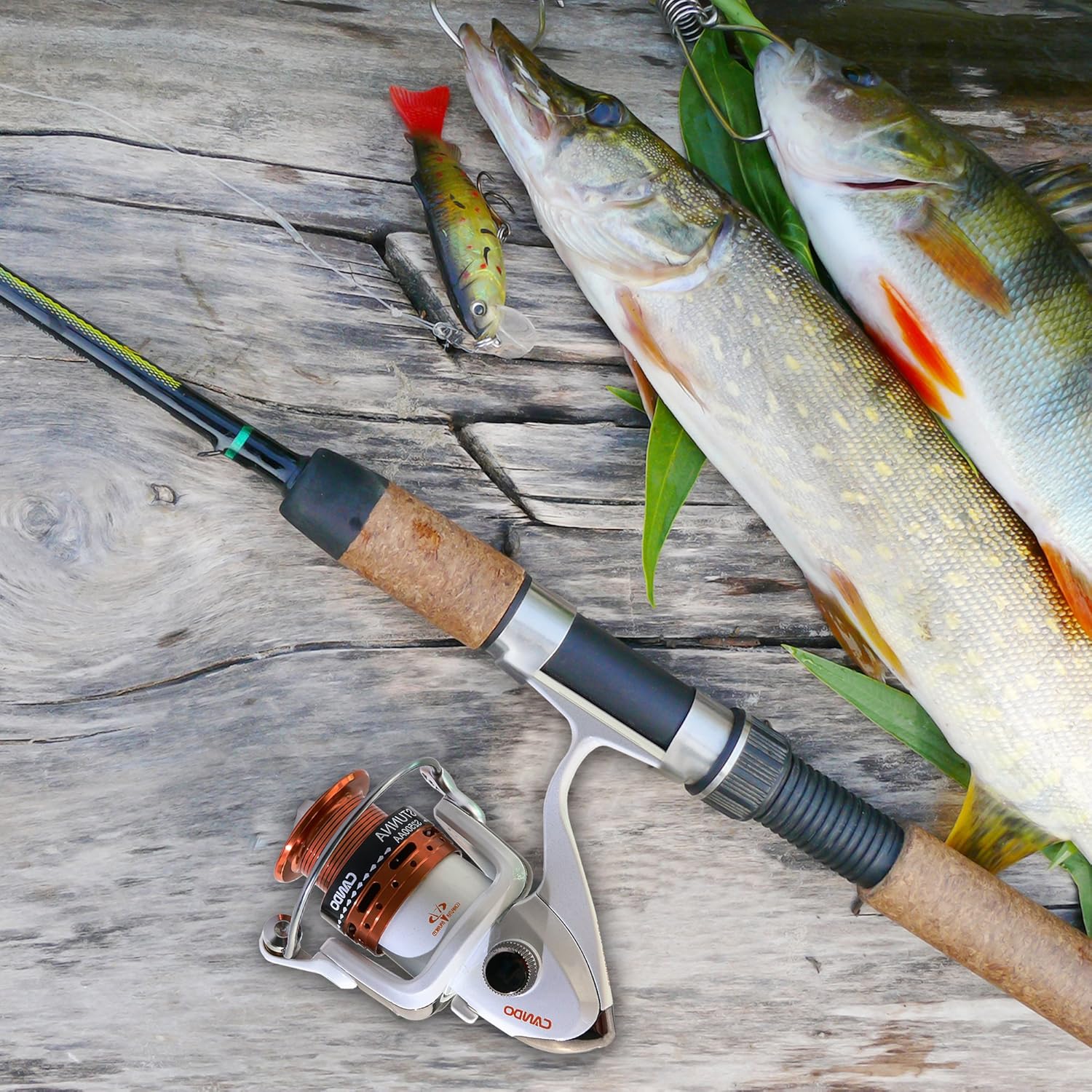 B07ft6jdjv サブブランドのtica Spinning 1rb Reel Left 右交換可能釣りリール 8rrb 2500 Smooth 強力なアルミ合金コンポーネント Cando スピニングリール 値引 B07ft6jdjv サブブランドのtica Spinning 1rb Reel Left 右交換可能釣りリール 8rrb 2500 Smooth 強力なアルミ合金コンポーネント Cando スピニングリール 値引