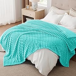 Bedsure Blue King Size Blanket for Bed - GentleSoft