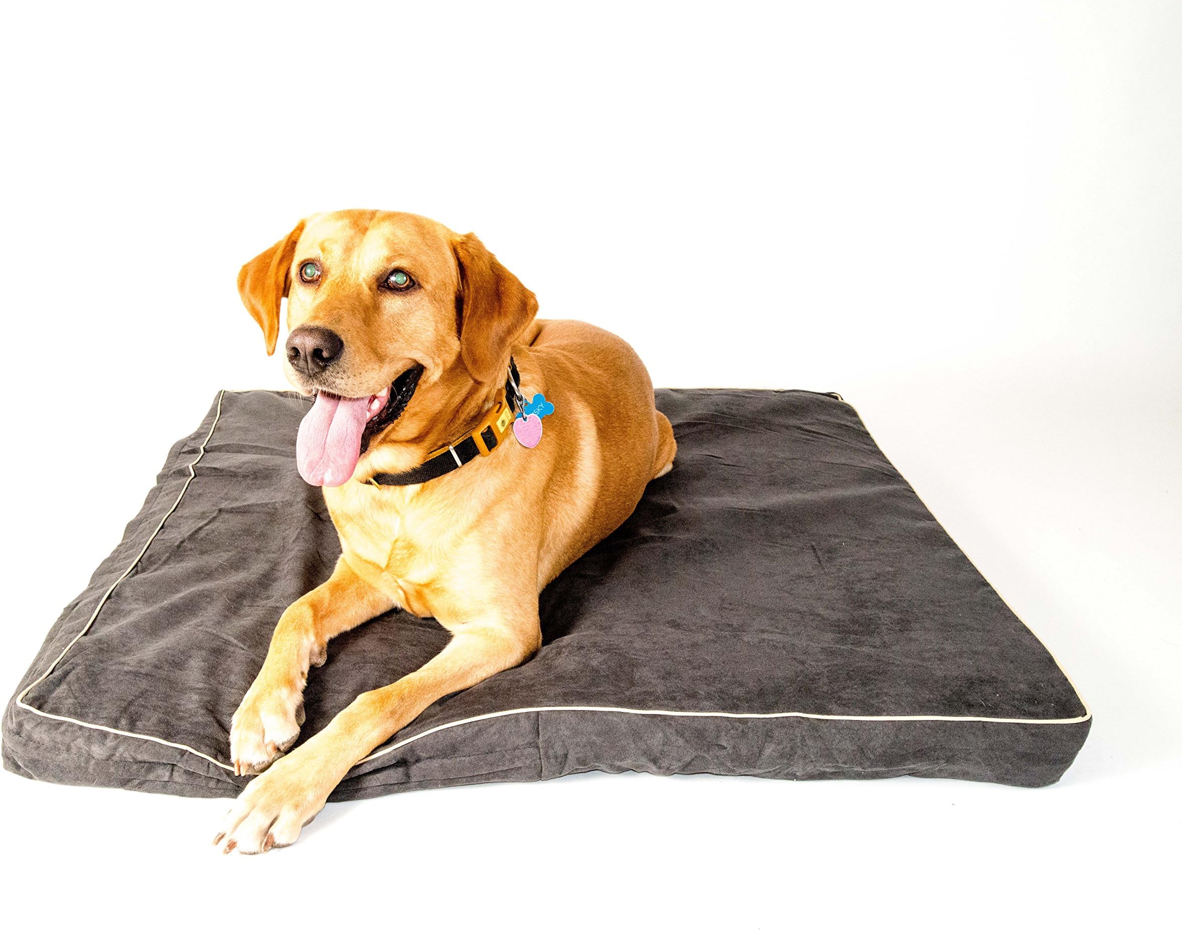 Orthopedic 4 Pound Memory Foam Dog Beds, Washable, Suede, 30 Day Money-Back Guarantee, # 1 Best Rated Pet Beds Gray 55"X37"X4" (XL)