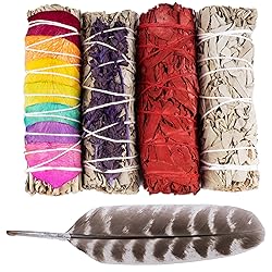 4 pc Sage Smudge Sticks with White Sage, Dragons