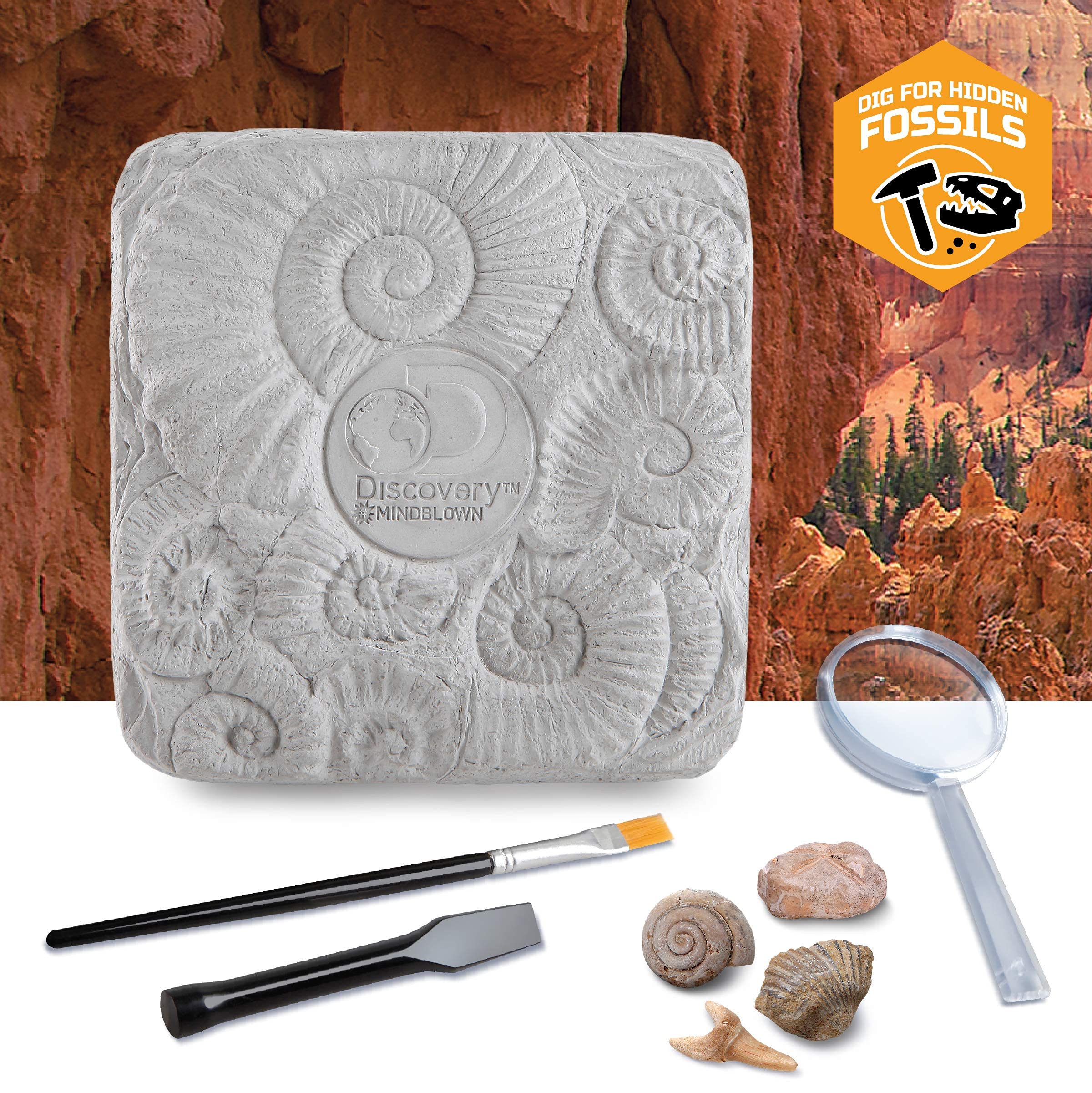 Discovery #MINDBLOWN Colossal Fossil Dig Set, 15-Piece Archaeology Excavation Kit, Uncover Real Shark Teeth & More, Every Fossil Set is Unique, STEM Toys for Boys and Girls