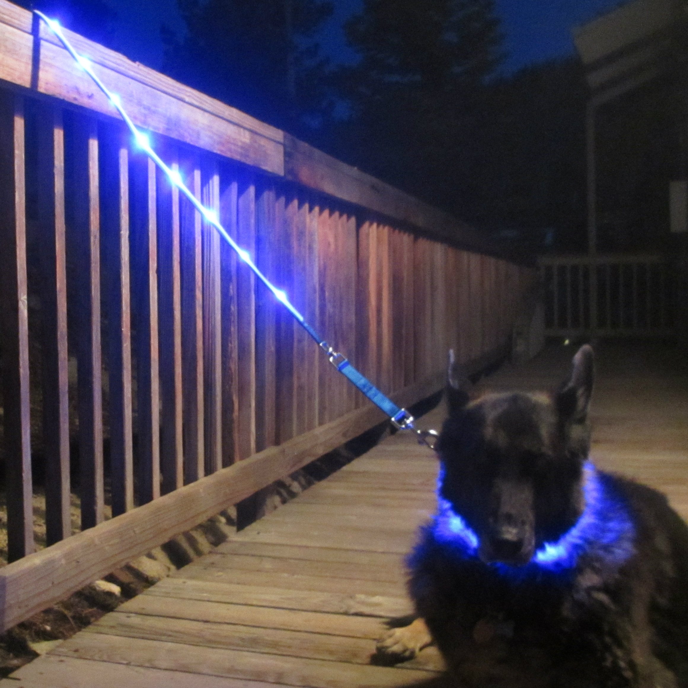 Blazin' Safety LED Dog Leash USB Rechargeable Flashing Light, 6 Ft