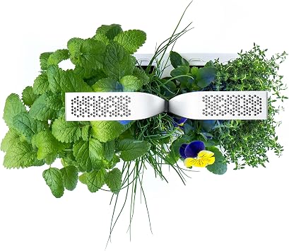 Véritable®- Huerta Interior Made in France - Cultivo en Interiores ...