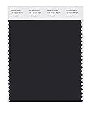 PANTONE Smart 19-4007X Color Swatch Card, Anthracite