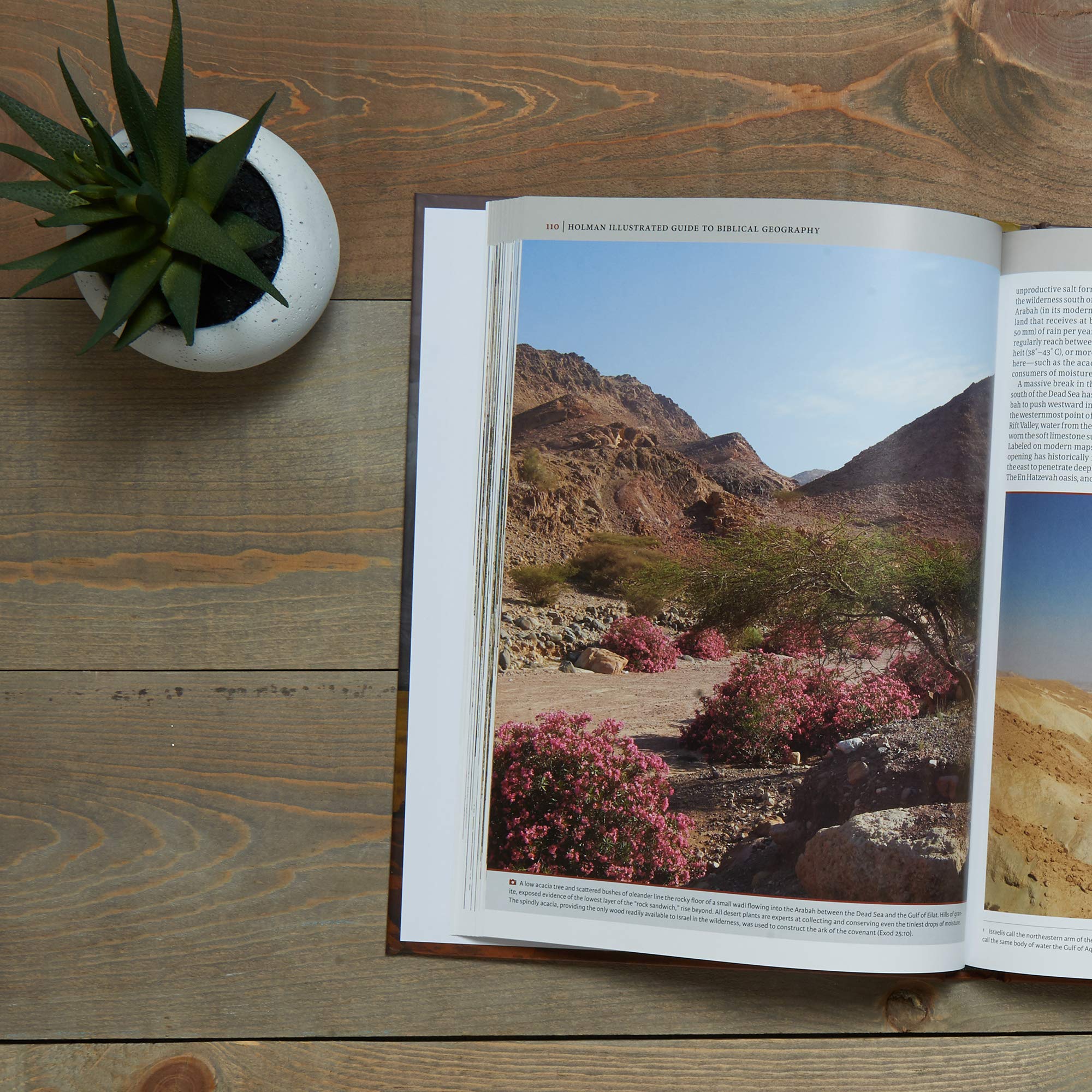 Holman Illustrated Guide To Biblical Geography: Reading the Land
