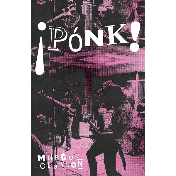 Punk: Stephen Colegrave: 9781844032686: Amazon.com: Books