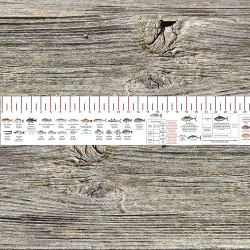 STATE COASTAL FISHING RULER with FISH ID and FISHING REGULATIONS - 50 ...