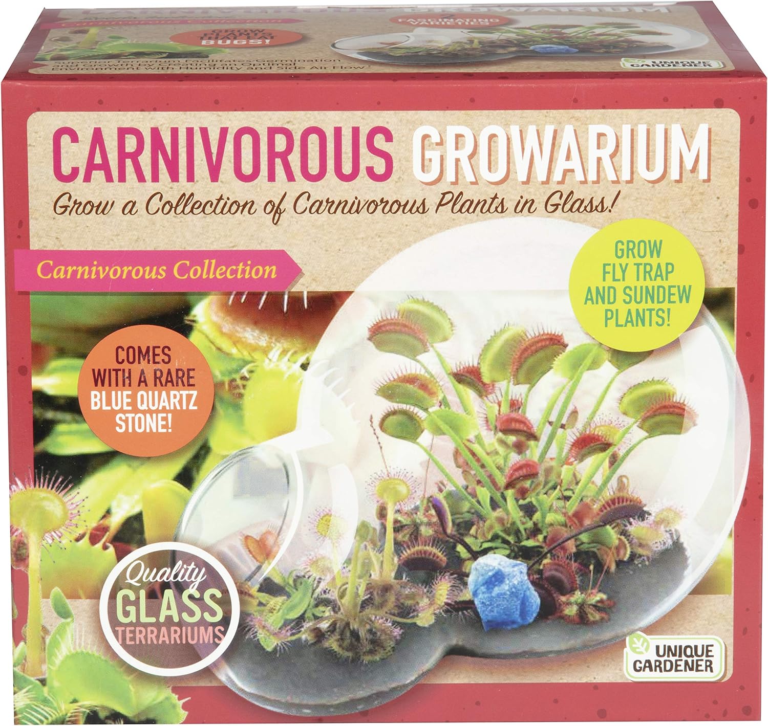 Amazon Com Unique Gardener Grow Your Own Venus Fly Trap Complete Kids Terrarium Kit To Sprout Fly Trap And Sundew Plants Includes Everything Needed For The Plants To Thrive Toys