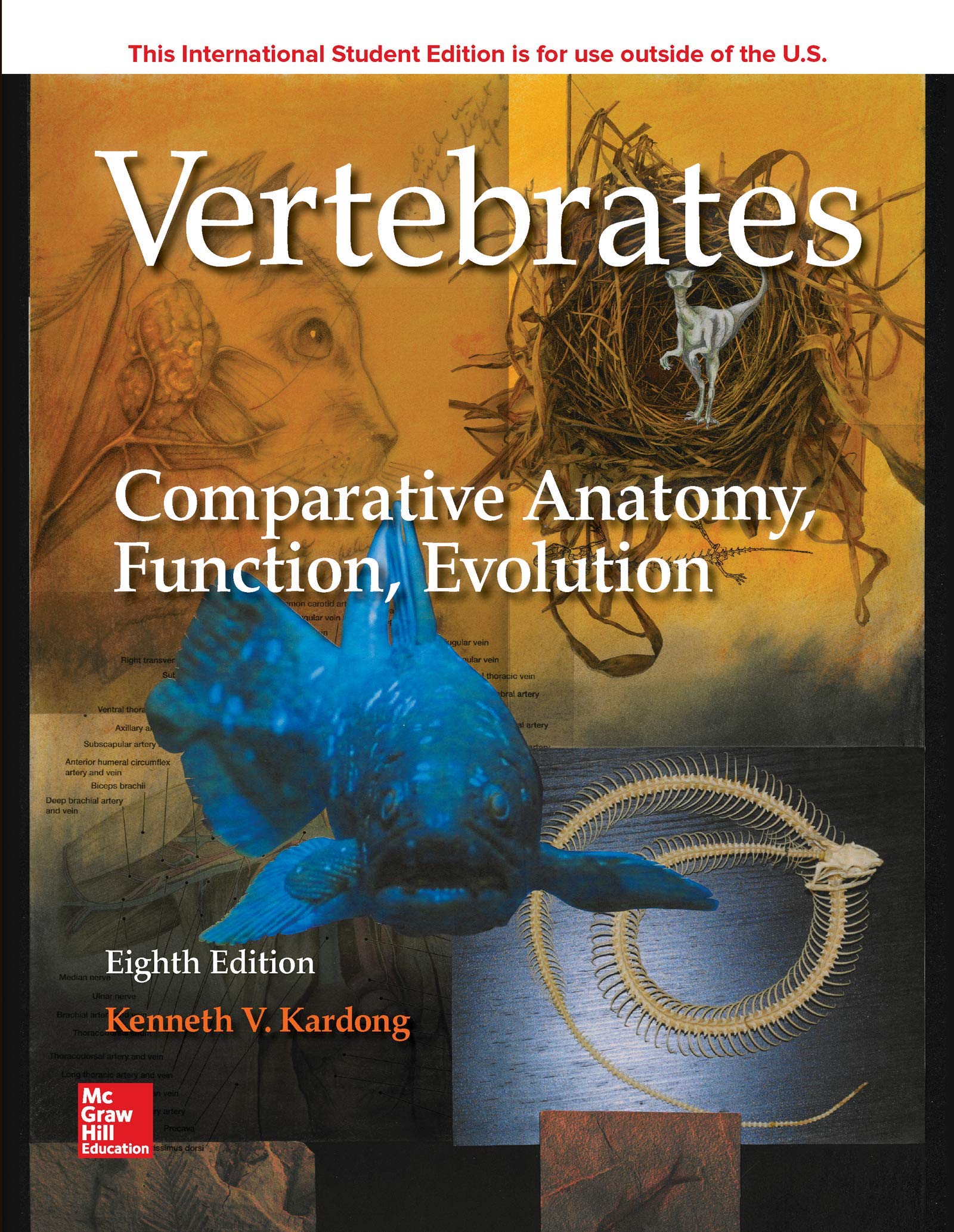 Vertebrates: Comparative Anatomy, Function, Evolution: NA: 9781260092042:  Amazon.com: Books