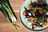 Scott&Co Salad Seed Starter Kit 10 Veg Varieties Indoor Outdoor Gardening view 8