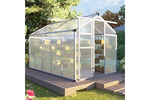 FLY BY YAN CQZY 6x10 FT Greenhouse for Outdoors,Green House for Outside,Silver