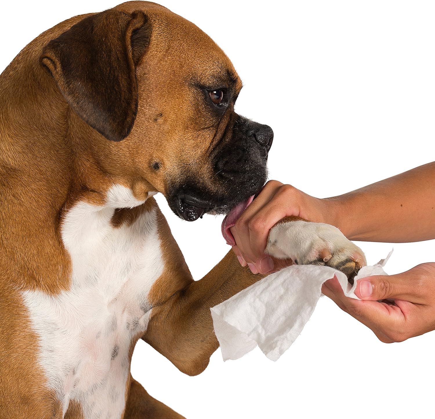 organic pet wipes