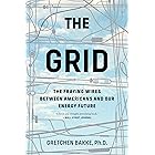 The Grid: The Fraying Wires Between Americans and Our Energy Future