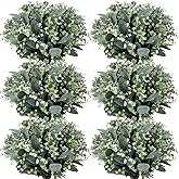 Janinka Mixed Eucalyptus Leaves Stems Bulk with White Seeds Artificial Silver Dollar Leaves Sprays Faux Oval for Wreath Garland Floral Bouquets Arrangement Wedding Greenery Decoration (40)