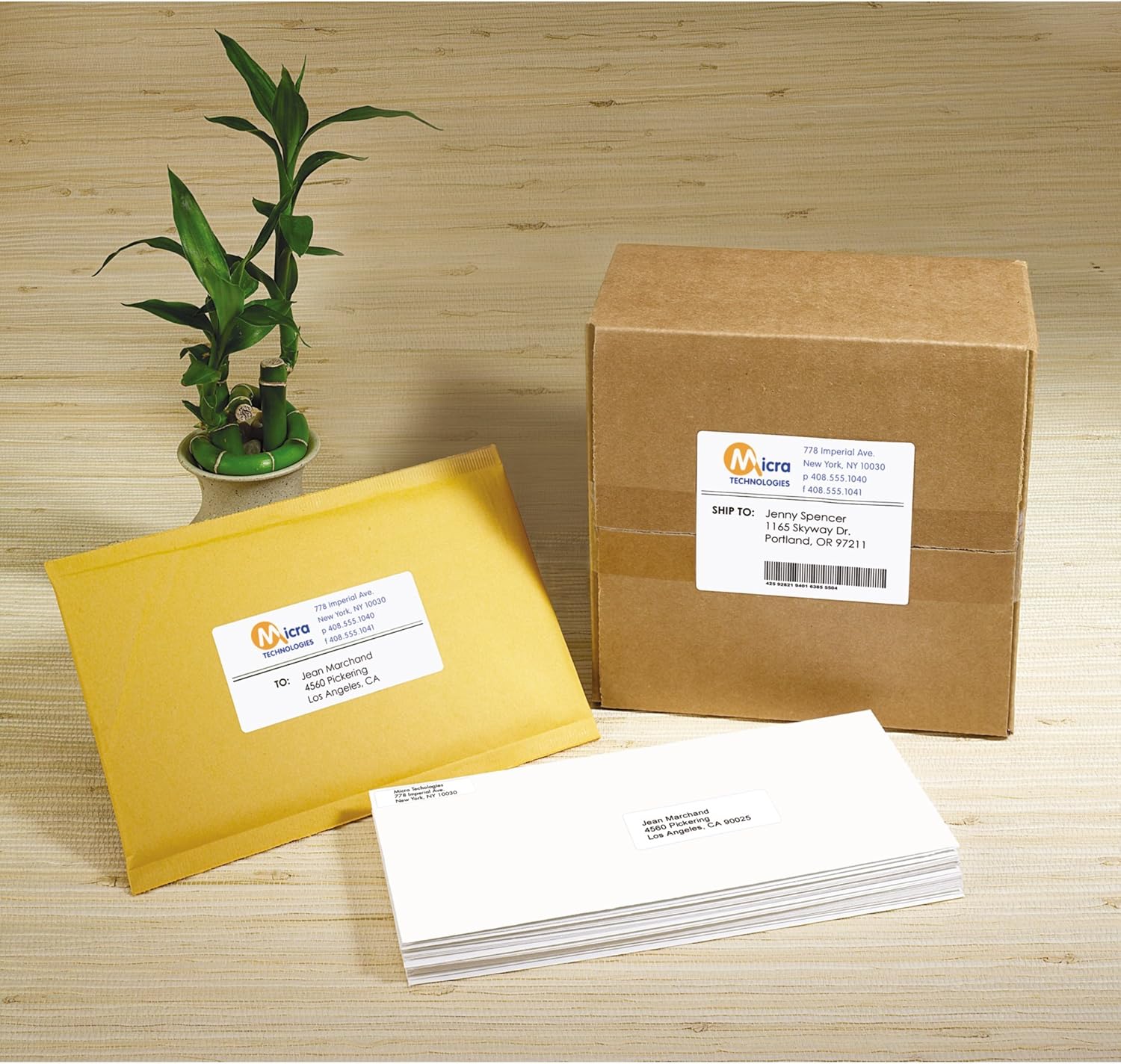 AVERY White EcoFriendly Shipping Labels, 2 x 4 Inches, Box of 1000 (48163): Office Products