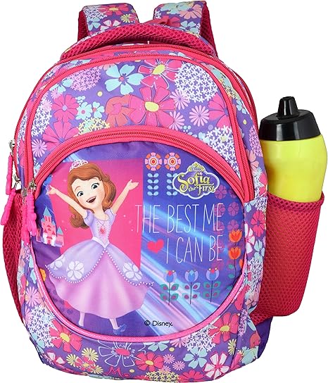 best disney bags