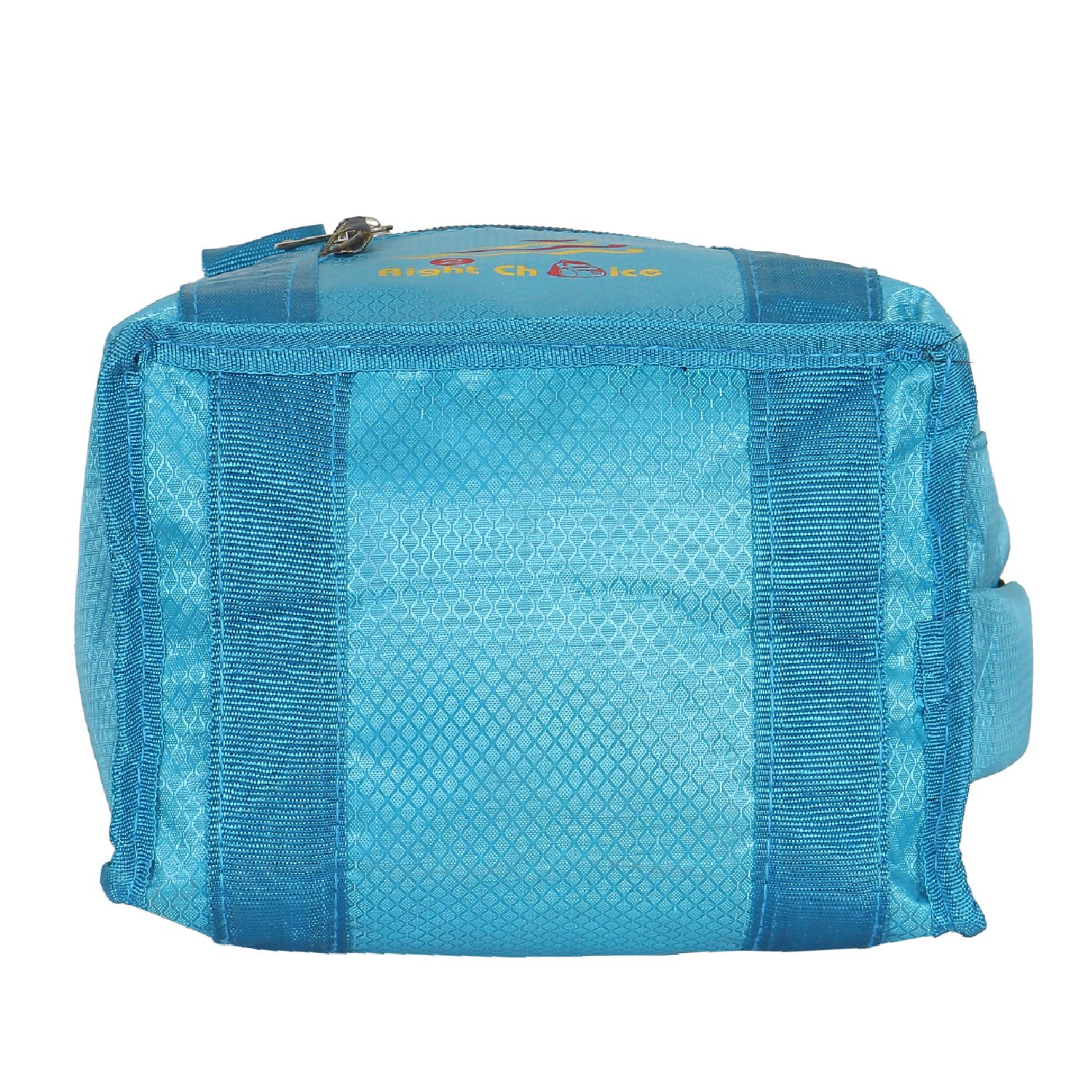 right choice silk lunch bag for men and women (blue)