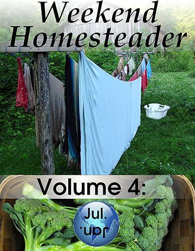 Download Weekend Homesteader: July (English Edition) PDF