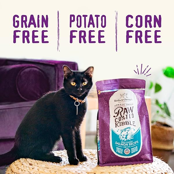 STELLA & CHEWY’S RAW COATED CAT FOOD – HIGH PROTEIN, GRAIN-FREE KIBBLE WITH WILD-CAUGHT SALMON – PREMIUM DIGESTIVE SUPPORT WITH PROBIOTICS – NATURAL SMALL KIBBLE – PERFECT FOR PICKY EATER – 2.5LB BAG