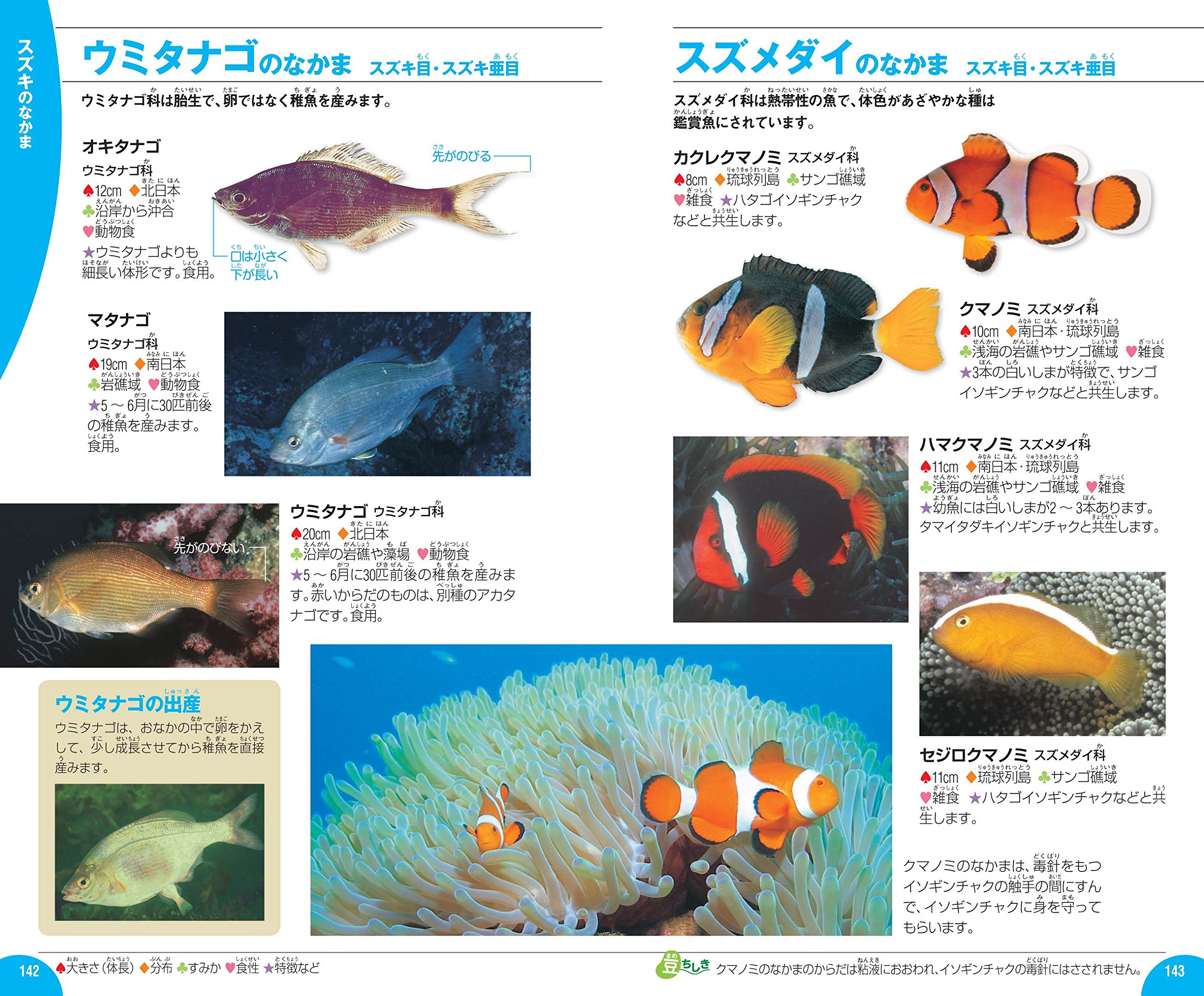 魚 学研の図鑑live ライブ ポケット Amazon Com Books