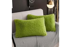 WERDIM Shaggy Fluffy Faux Fur Pillowcases 2 Pack Button Closure Velvet Pillow Shams Standard/Queen Size (Apple Green, 20 X 26 Inches)