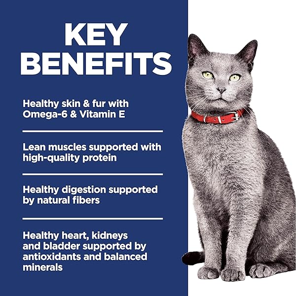 HILL’S SCIENCE DIET ADULT 7+ NO CORN, WHEAT OR SOY DRY CAT FOOD, CHICKEN, 7 LB. BAG