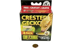 Exo Terra Crested Gecko Food Cups - 4 Cups (Pack of 1)