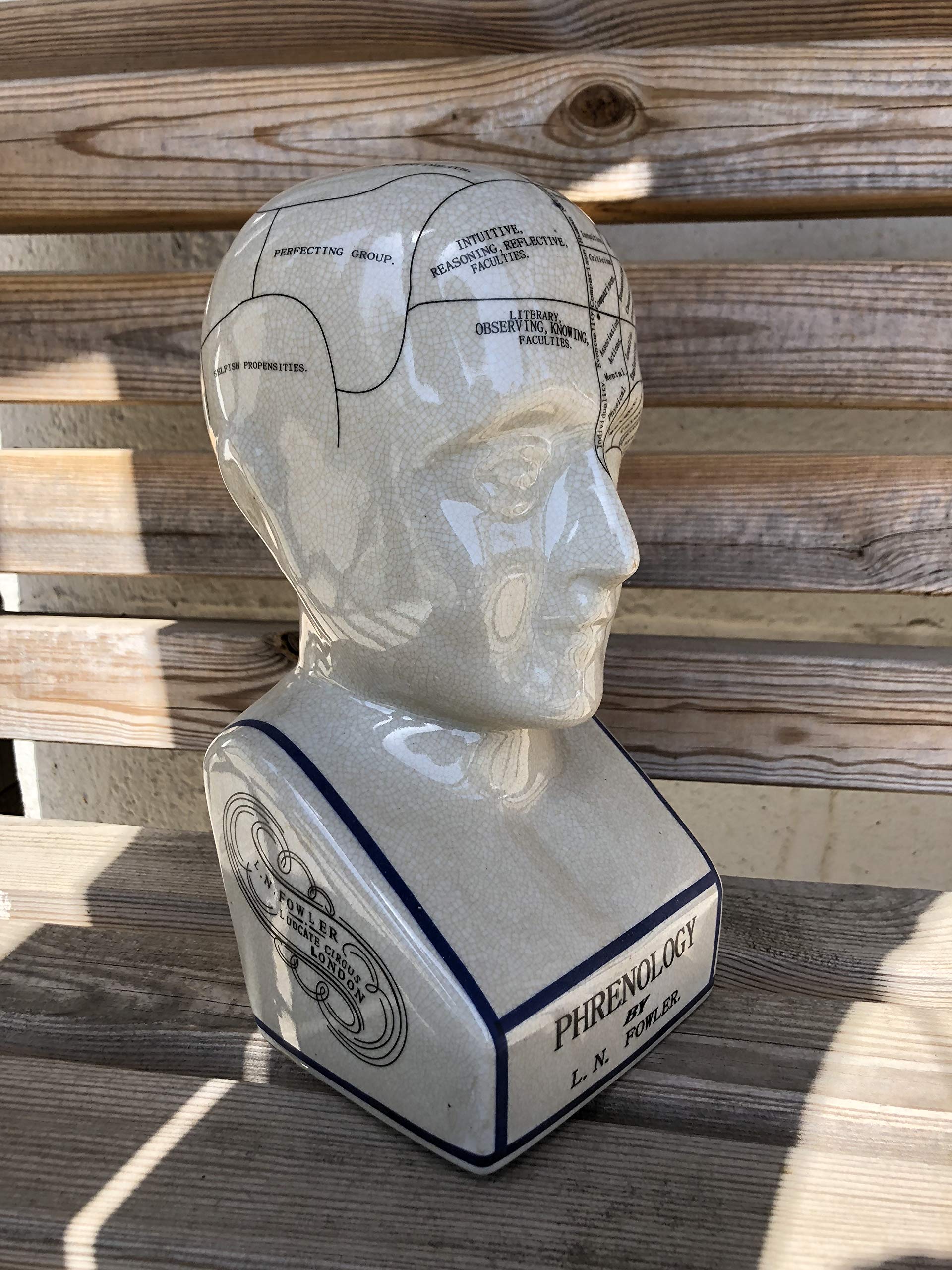 ACL Phrenology Head - Ceramic Ornament - Collectable Retro Bust - Glaze finish - Doctor’s desk – LN Fowler - 12" - White