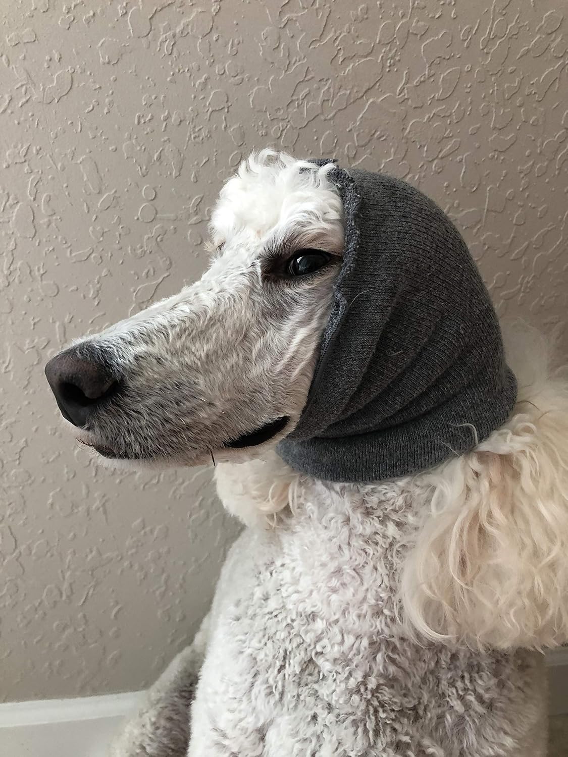 Pet Hoodz for Dogs-Anxiety Relief & Calming Hoodie, Grooming Ear Muffs, Compression & Protection, Large, Grey - Image 5