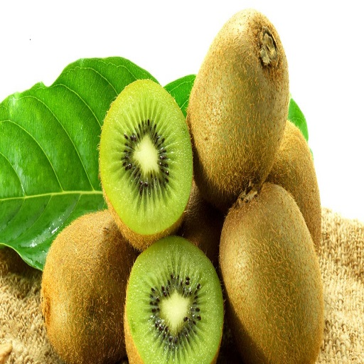 KIWIFRUIT Fruit for Android