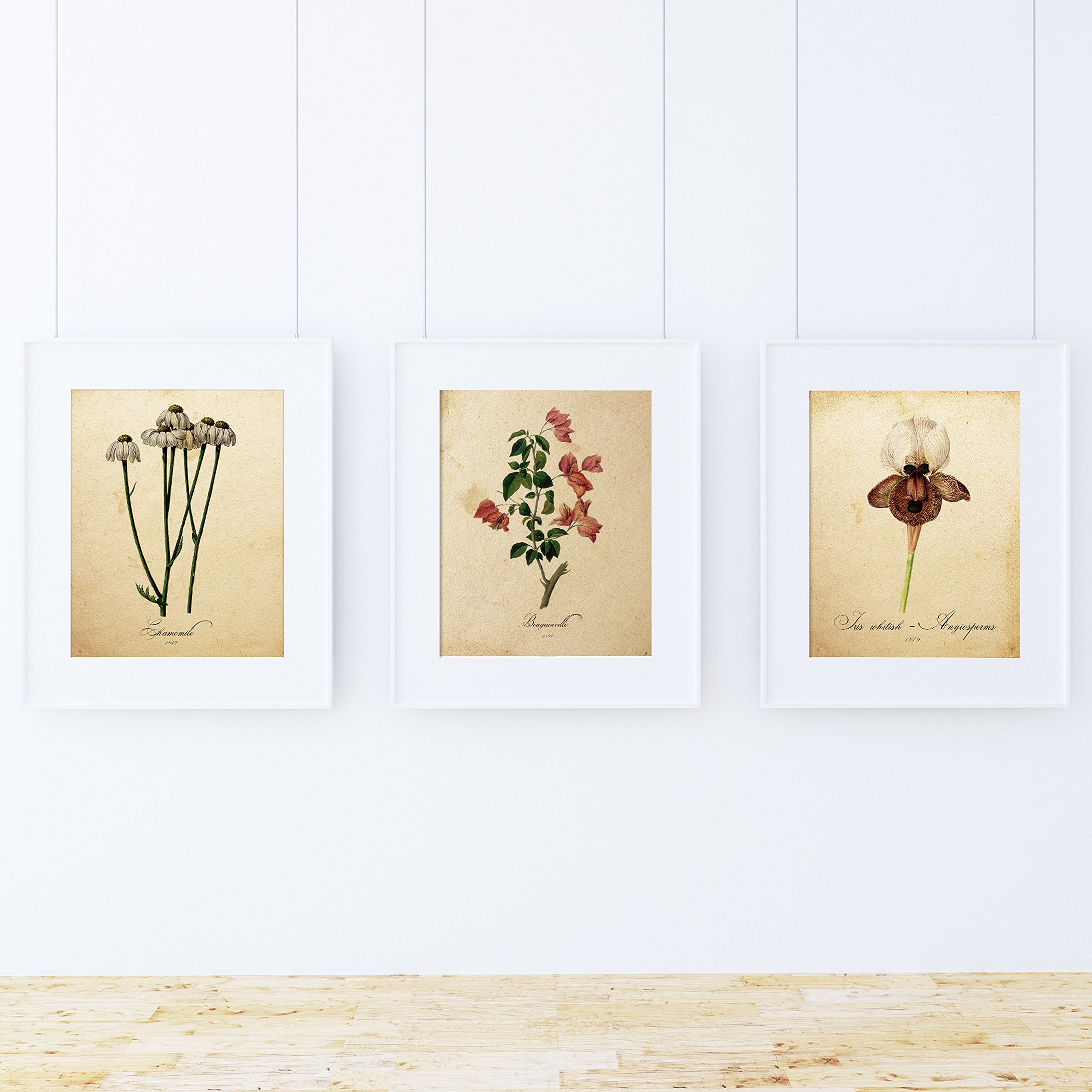Pack of Sheet Elegance. Posters with Images of Botanical. Home Decor. Sheets for framing Paper 250 Grams — image 1