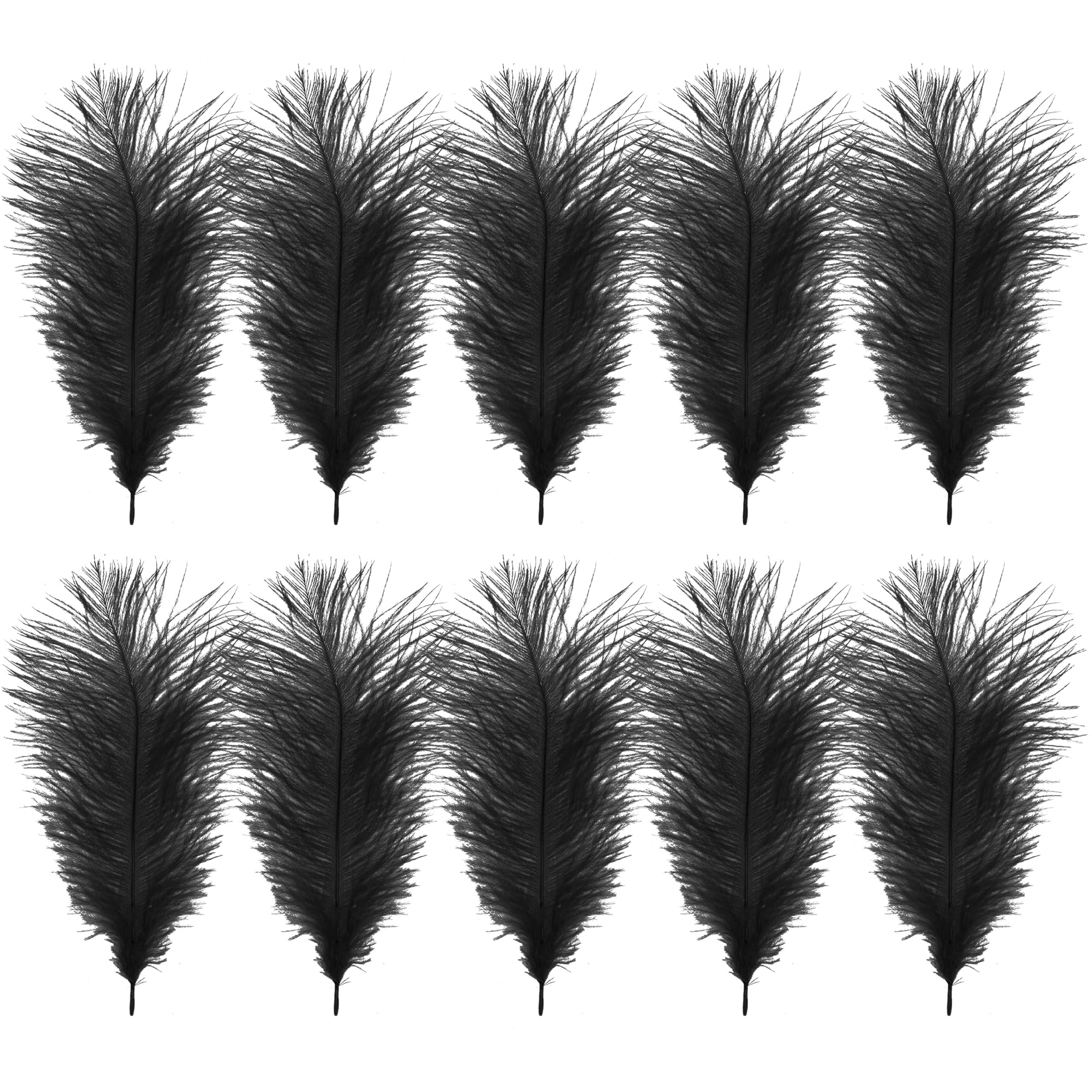 WedDecor Black Natural Ostrich Feathers 14-16" (35-40cm) Long for Wedding Centerpieces, Home, Decorating Costumes, Embellishment, Art & Craft, Parties (Pack of 10)