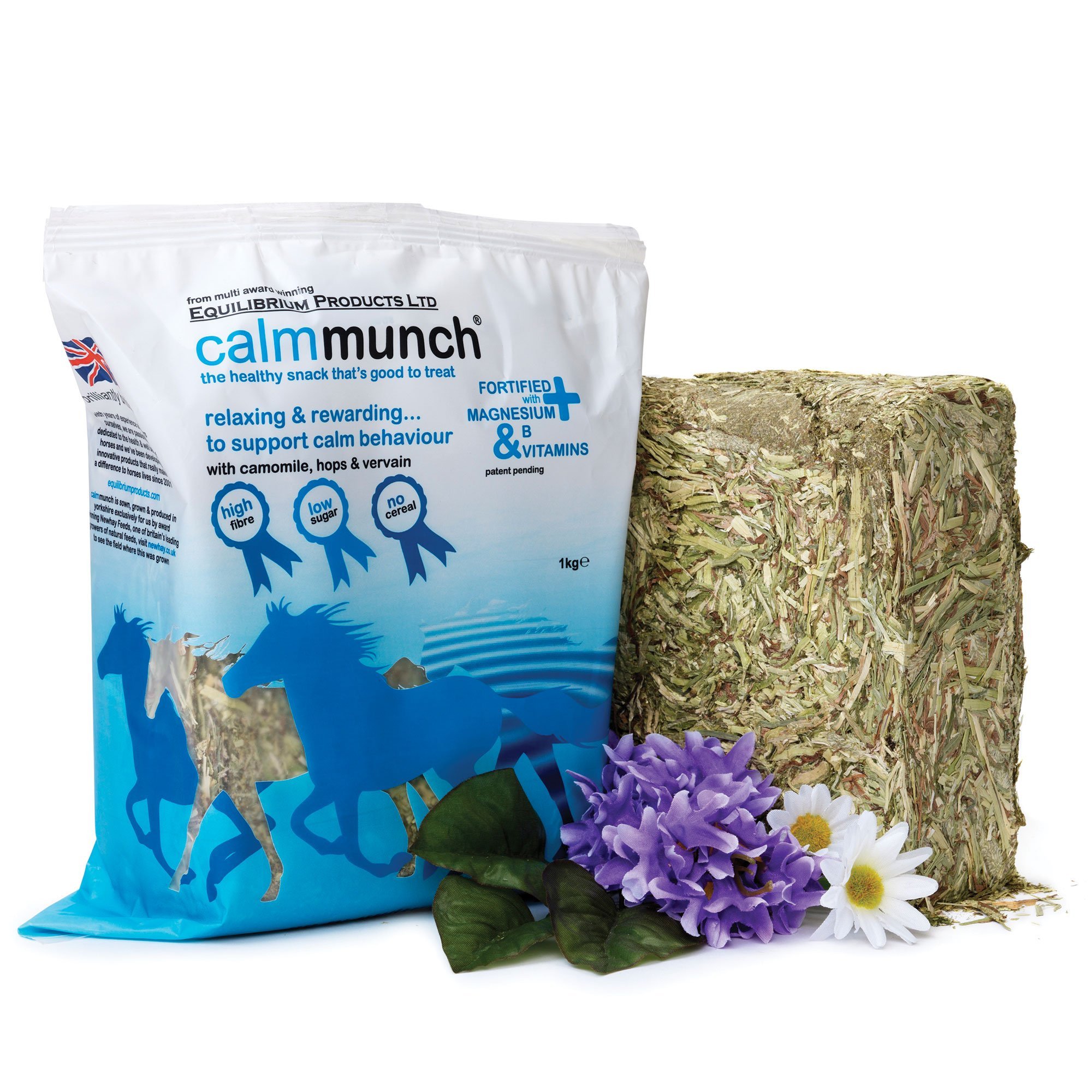 Equilibrium Calmmunch