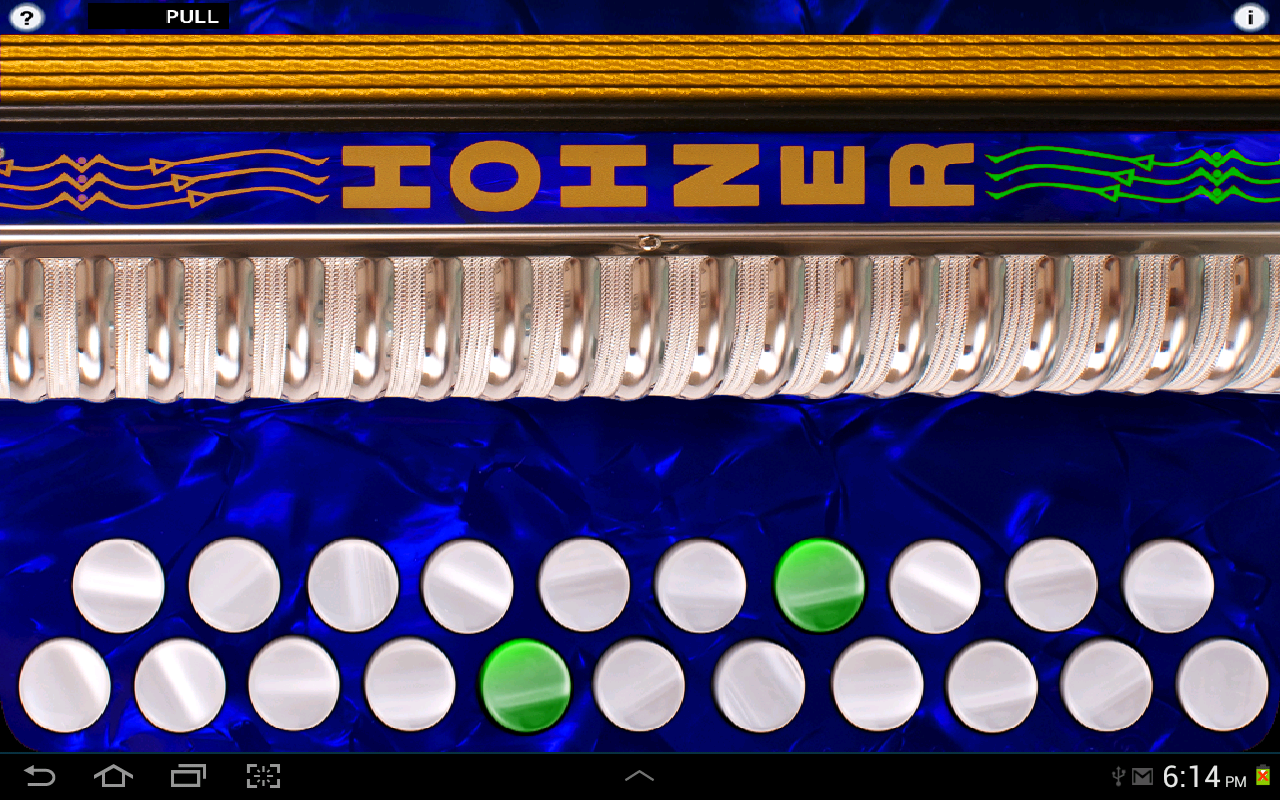 Hohner D/G Button Accordion