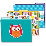 Colorful Owls Folder