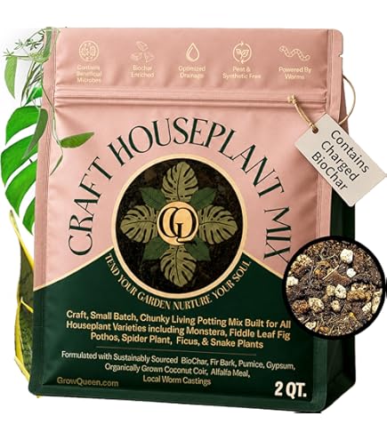 Amazon.com : Gardenera ZZ Plant Potting Mix - Proven Formula for