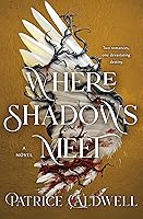 Where Shadows Meet: A Novel
