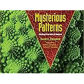 Mysterious Patterns: Finding Fractals in Nature