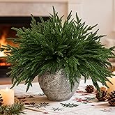 12 PCS 18 Inches Artificial Christmas Norfolk Pine Branch, Natural Touch Norfolk Faux Greenery Pine Stems, Fake Norfolk Picks Christmas Decoratoins for Vase DIY Garland Wreath Xmas Indoor Home Decor
