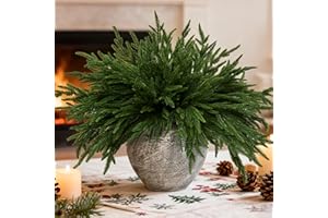 PALONU 16 PCS 18 Inches Artificial Christmas Norfolk Pine Branch, Natural Touch Norfolk Faux Greenery Pine Stems, Fake Norfolk Picks Christmas Decoratoins for Vase DIY Garland Wreath Xmas Indoor Home Decor