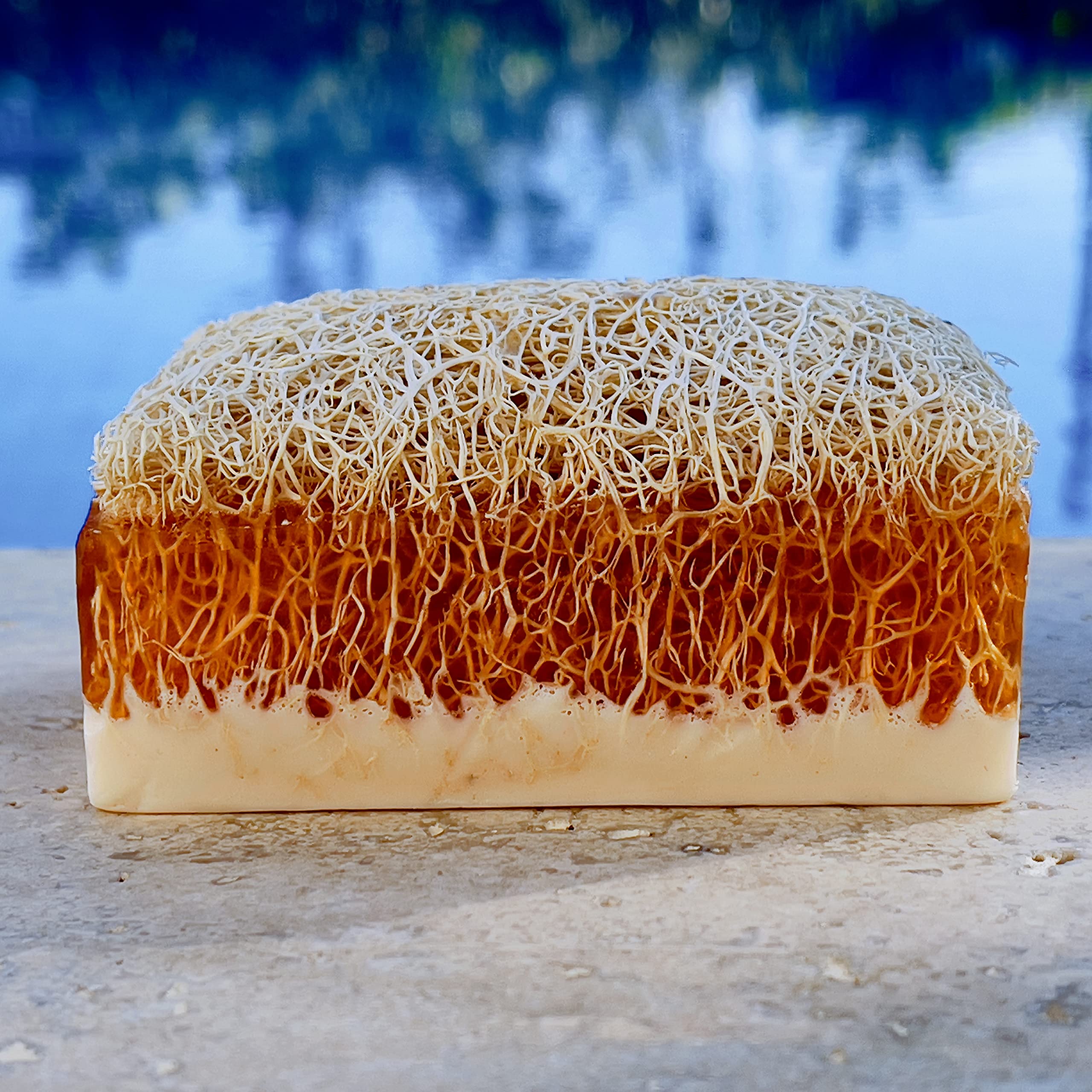 Cielche Natural Handmade Donkey Milk & Honey Soap Bar With Pumpkin Fiber 120g | Anti Ageing | Anti Wrinkle | Effective For Acne & Eczema